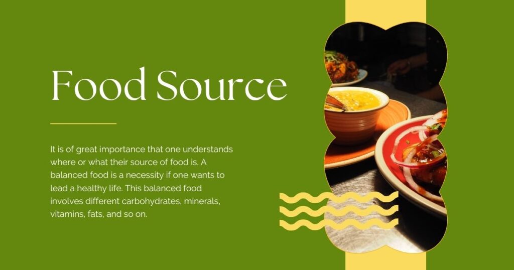 Everyday Superfoods